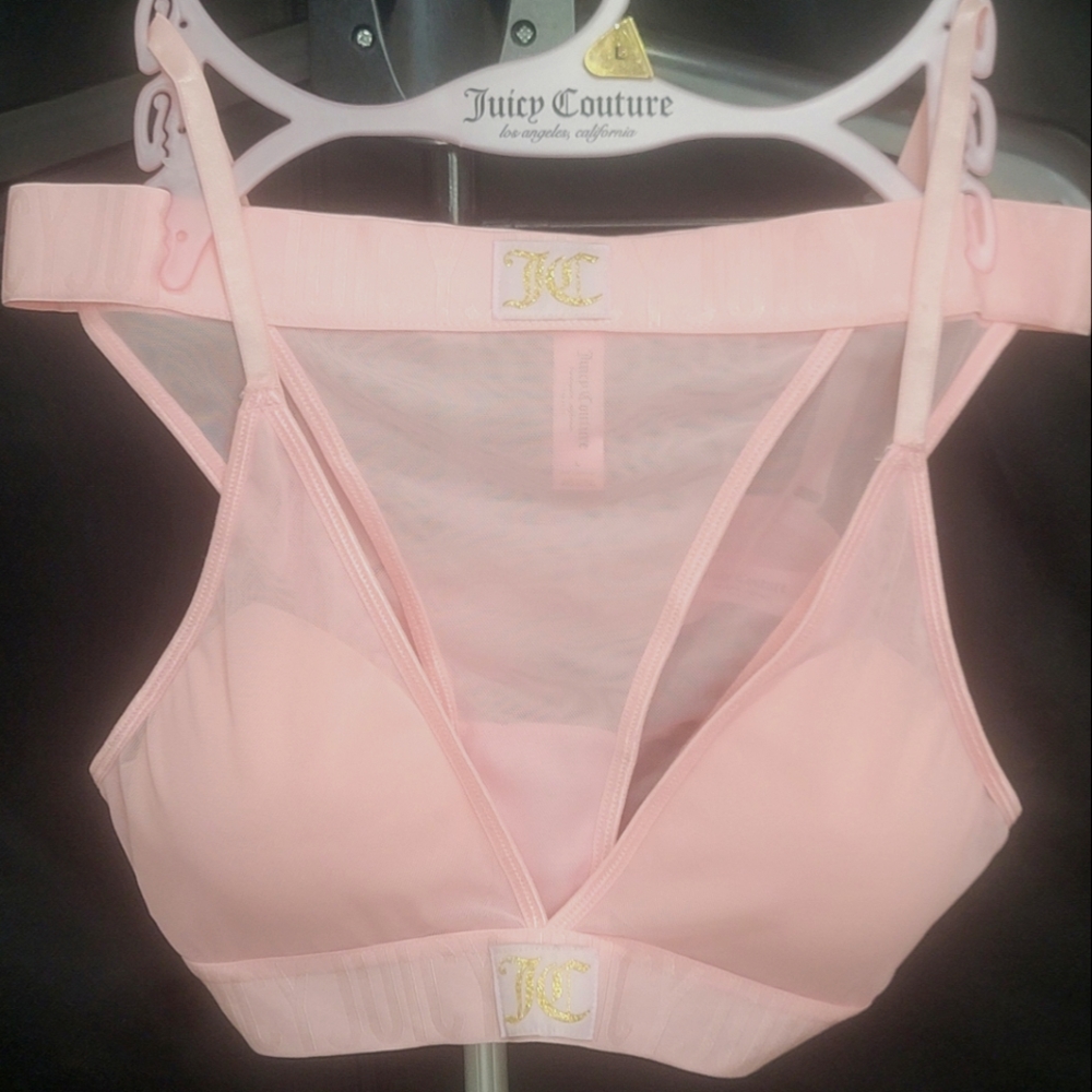 NWOT Juicy Couture Pink And Mesh Bra And Panty Set L